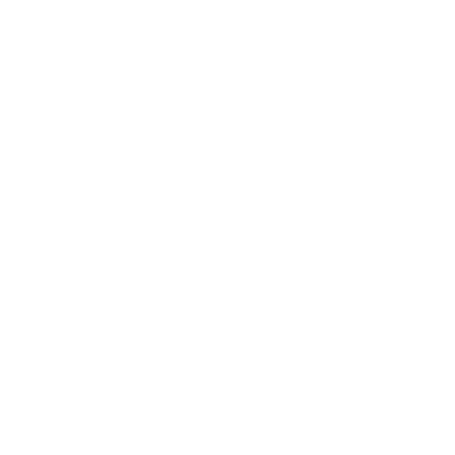 White sparkles and lens flare light